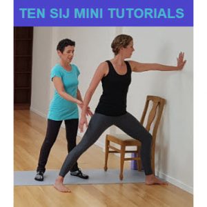 SIJ Ten Mini Videos Cover
