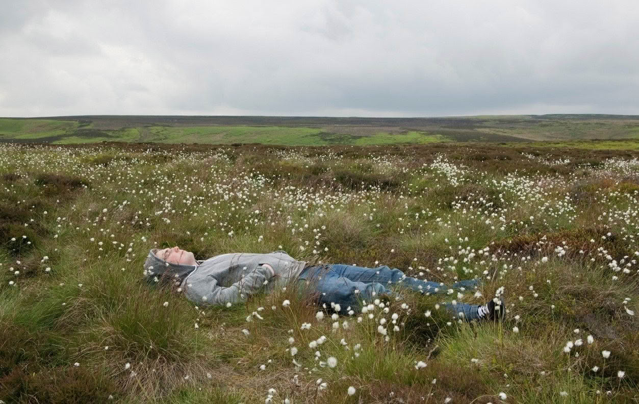 Man resting in field