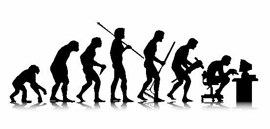 Human Spinal Evolution