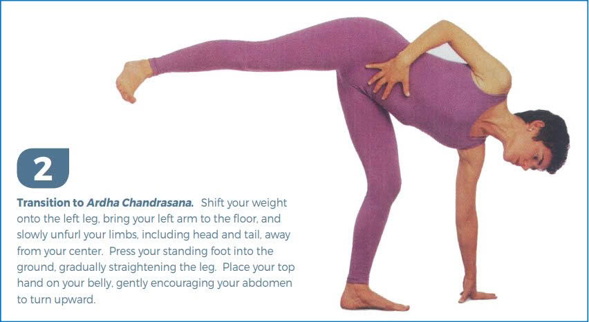 Ardha Chandrasana Step 2
