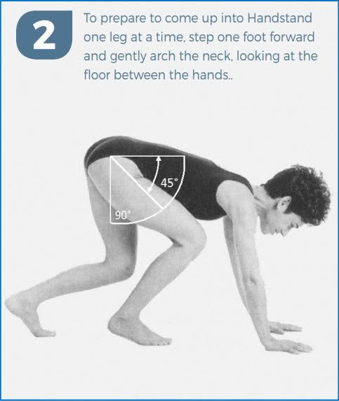 Preparation for balanced handstand entry.