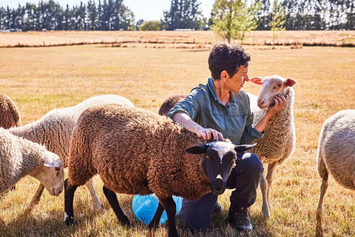 Donna with two sheep